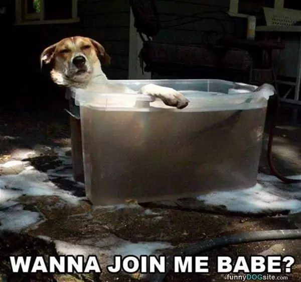 Wanna Join Me