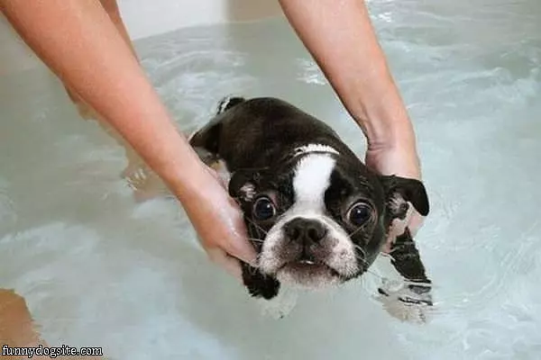 So This Is Bath Time