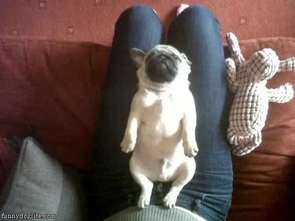 I Am So Sleepy