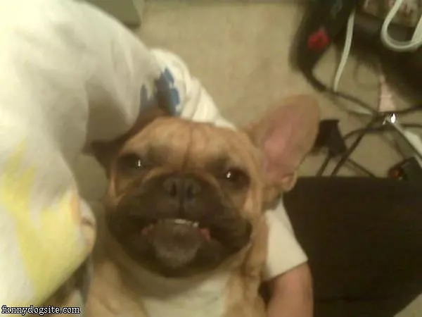 Smiley