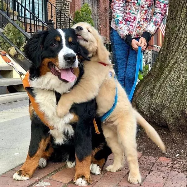 Hug Me