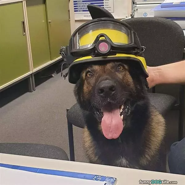 Ready To Work