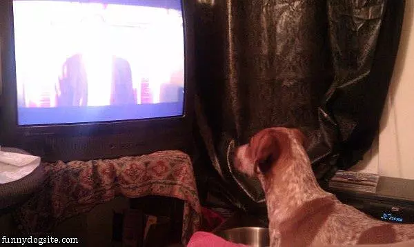 Watching Some Tv