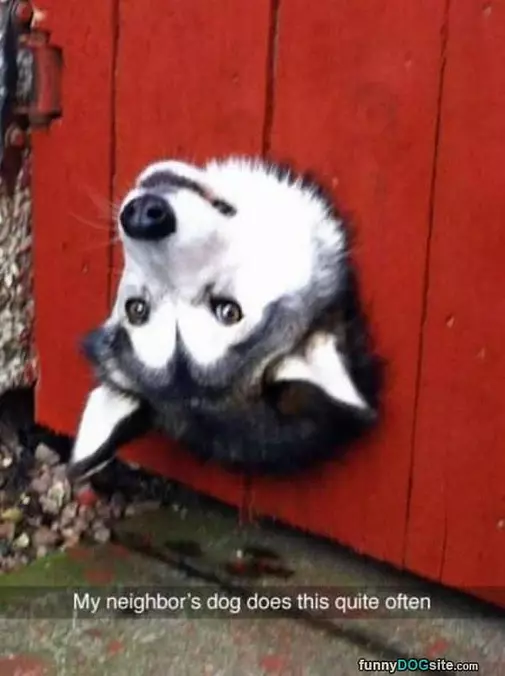 Hello Good Sir