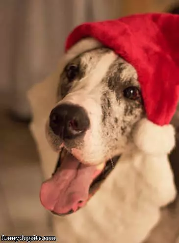 Hey Im Santa