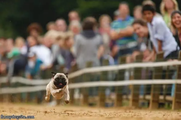 Running So Fast