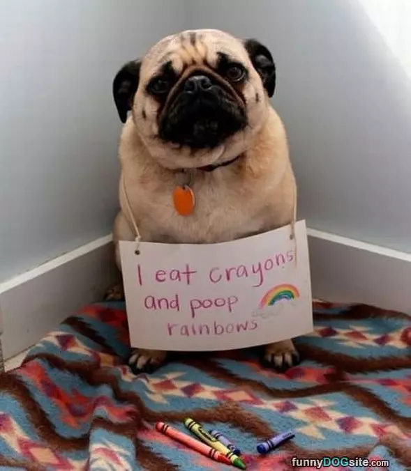 I Eat Crayons