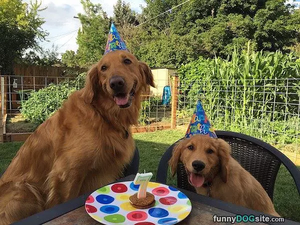 Awesome Birthday