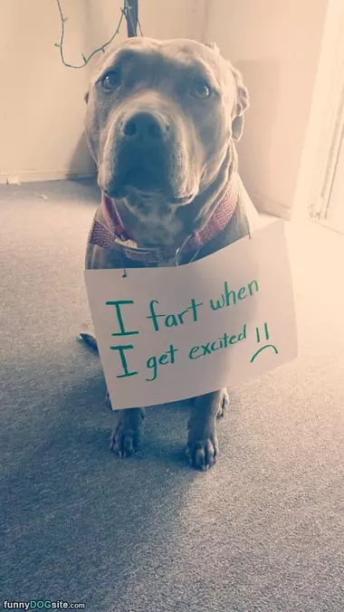 I Fart When