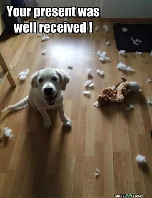 Present Was Well Received