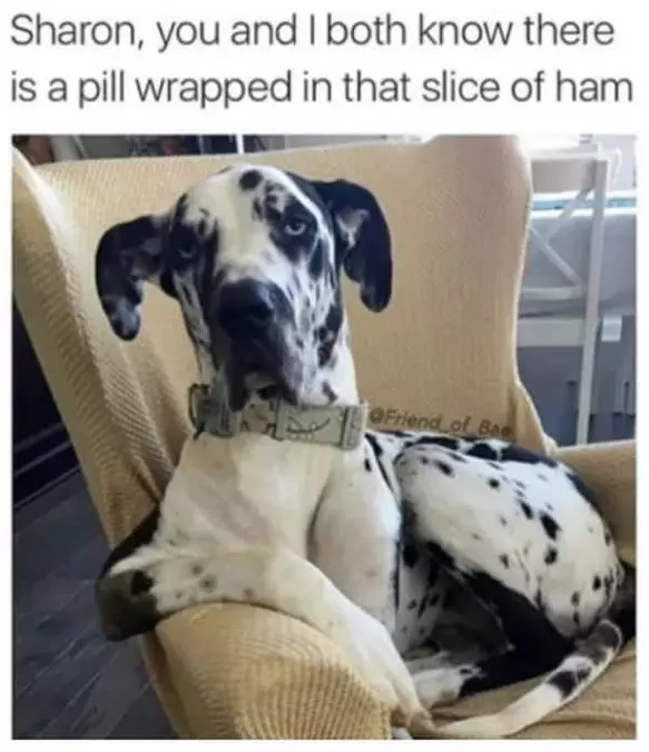 You And I Both Know