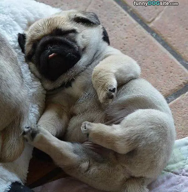 So Sleepy Today