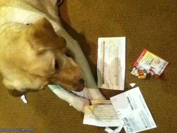 Paying My Bills