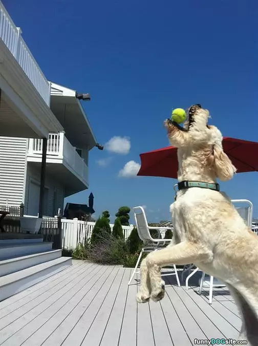 Jump For It