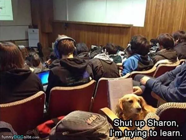 I Want To Learn