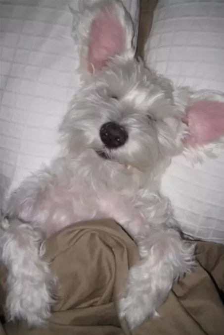 Dirty Sleeping