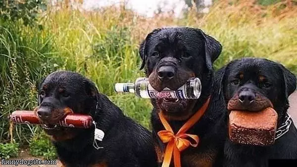 Ready For A Party