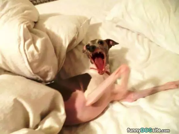 Put The Blankets Back