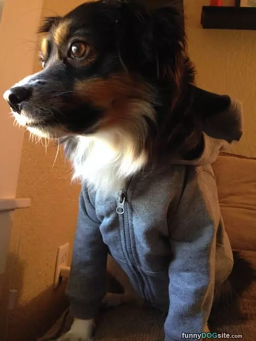 For Colder Days