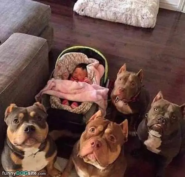 We Are The Security Team