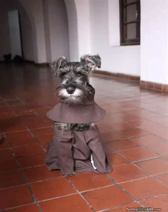 I Am So Cute