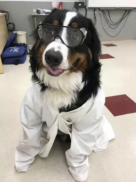 A Lab