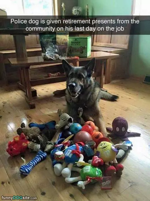 I Has All My Toys