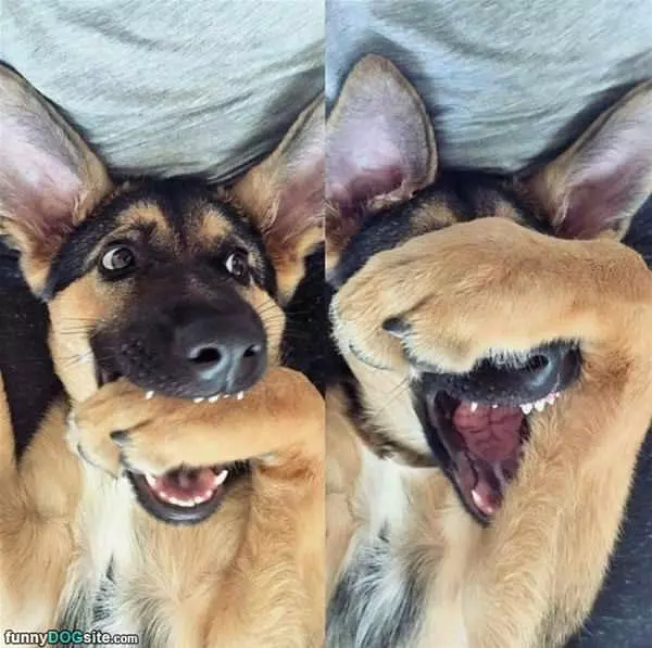 Ohhhh You