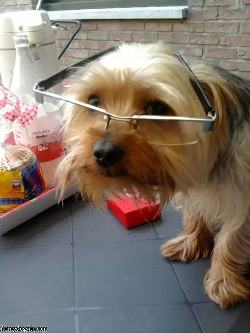 Nice Glasses