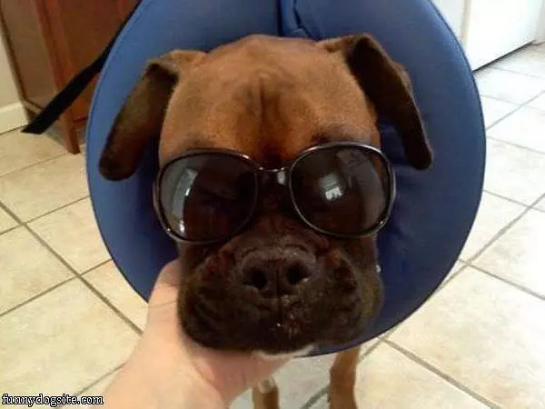 Having A Bad Day