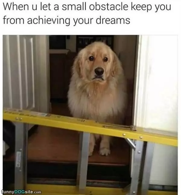 A Small Obstacle