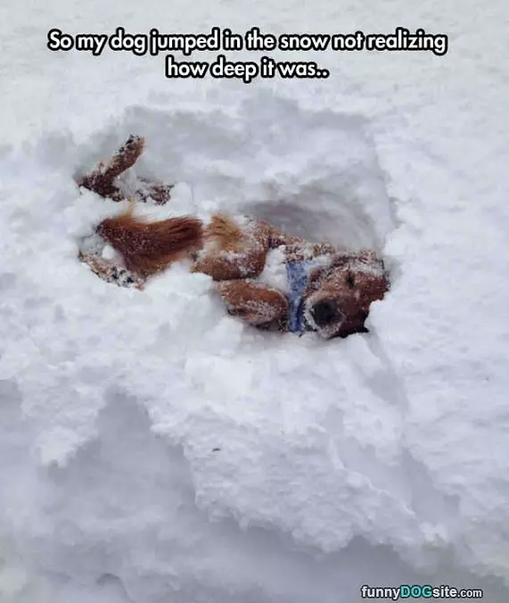 Jumped In The Snow