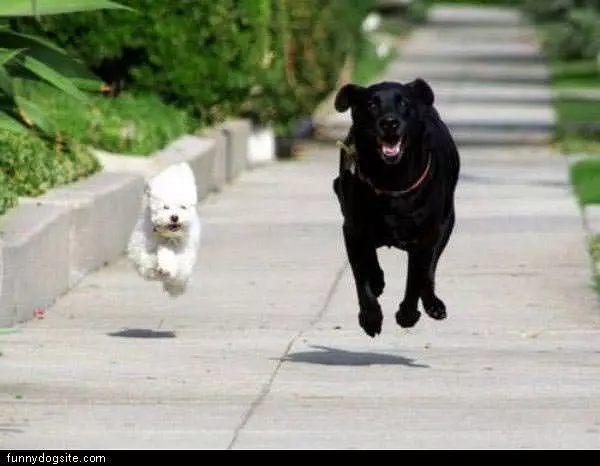 Synchornized Running