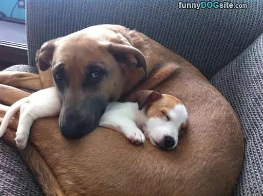 Staying Nice And Warm