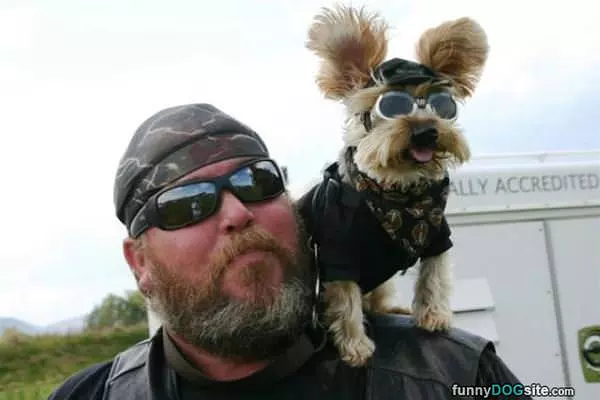 This Guys Dog Is Awesome