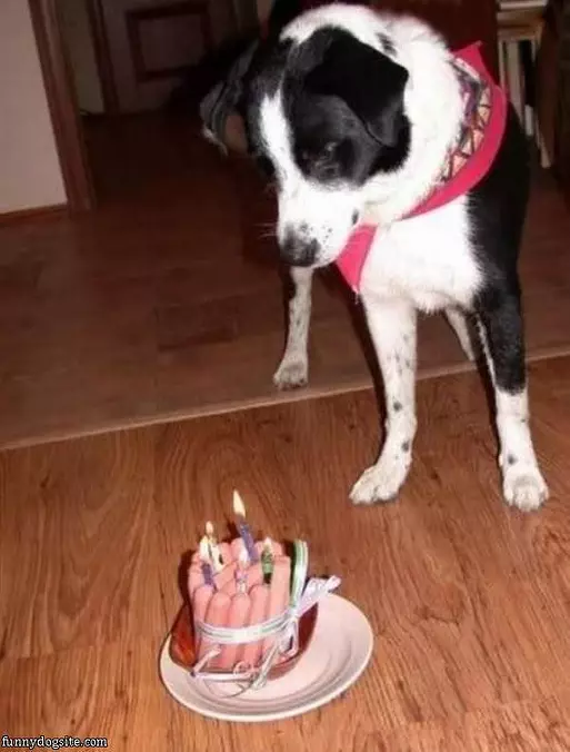 Dogs Birthday Cake