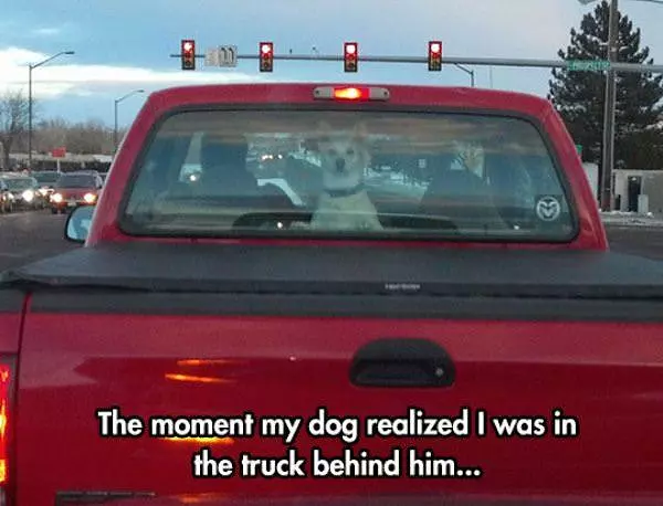 In The Truck Behind