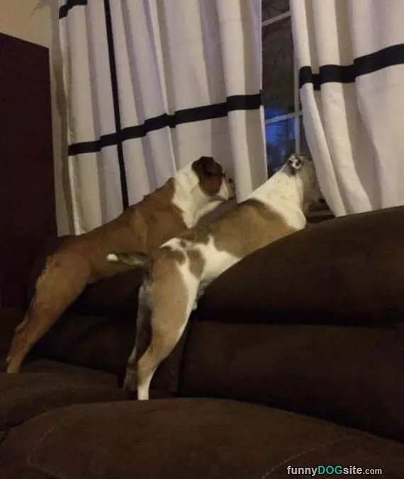 House Protection