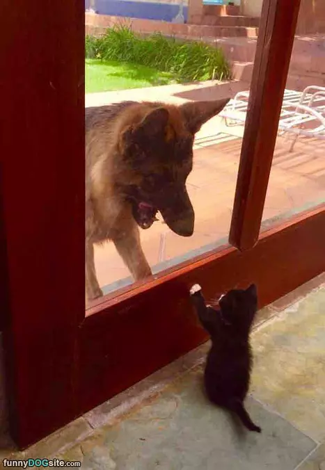 Hey You There