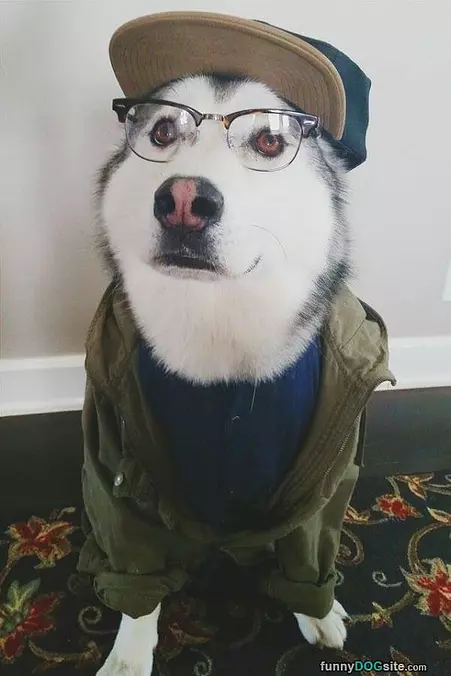 Got My Glasses Going