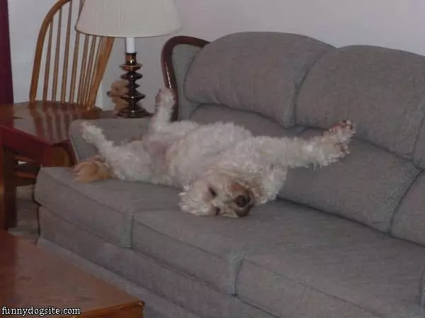 Lazy Days