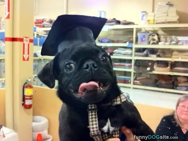 I Graduated Top Of My Class