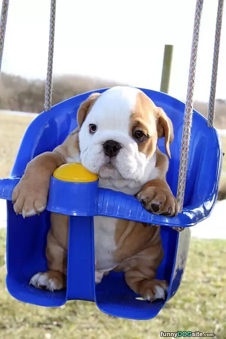 I Love The Swing