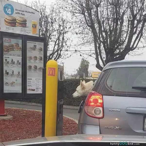 I Want A Buger Now