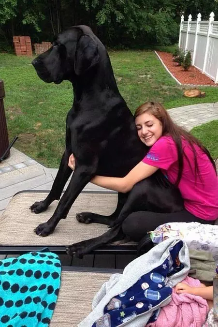 My Big Buddy