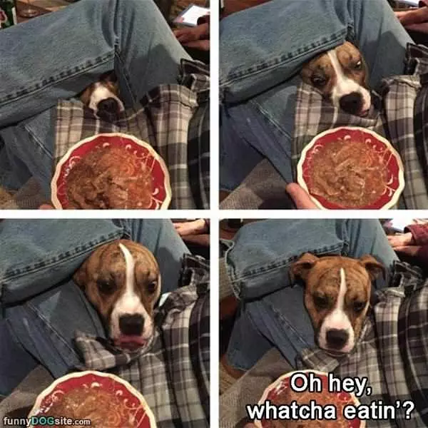 Whatcha Eating