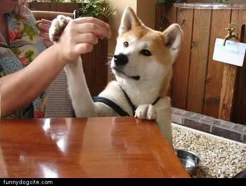 Arm Wrestle