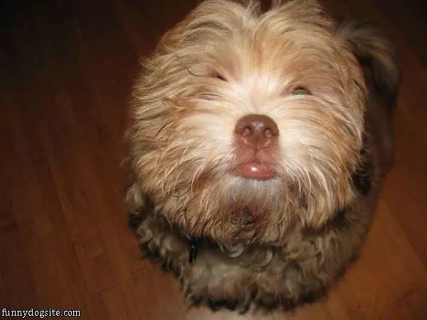 Very Cute Face
