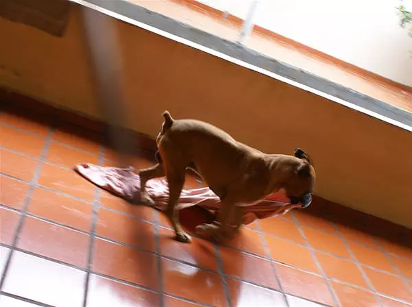 Run