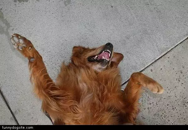 Lulz